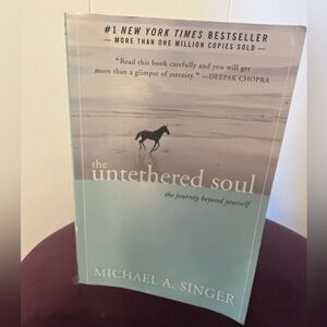 The untethered soul, the journey beyond yourself by Michael, a singer